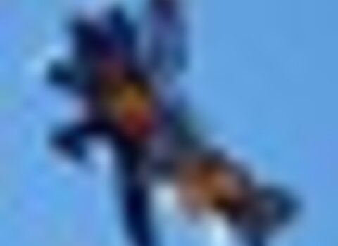 tiny_thumb_Mogadouro_red_burros_fly-in
