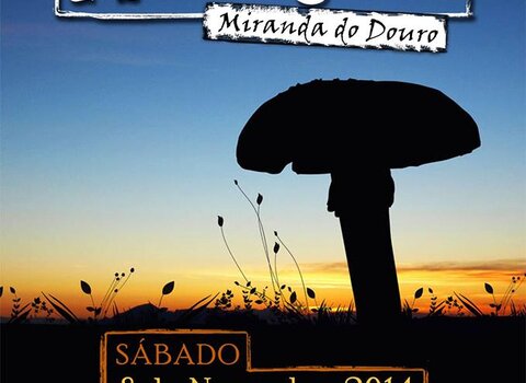 JornadasMicol_gicas_Miranda_do_Douro