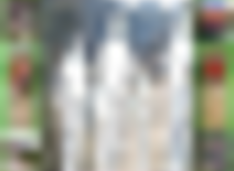 tiny_thumb_BTT_L_Crenque