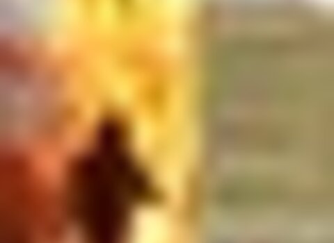tiny_thumb_Programa__1___Medium_