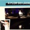 thumb_flor_de_l_cio
