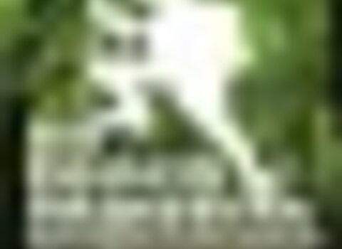 tiny_thumb_Passeio_primavera_2016_1_720_2500__Medium_