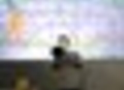 tiny_thumb_o_meu_pa_s___o_que_o_mar_n_o_quer