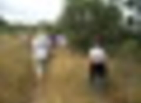 tiny_thumb_Percurso_Pedreste_Rota_do_castanheiro