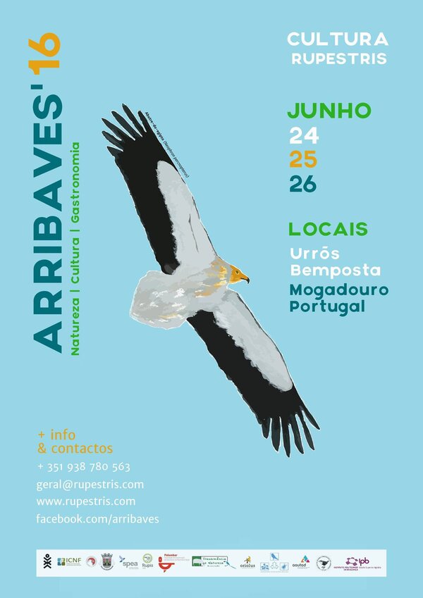 arribaves2016cartaz1