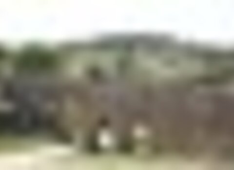 tiny_thumb_Aqueduto_de_Vilarinho__Miranda_do_Douro__Medium_