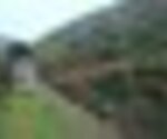 tiny_thumb_T01_06___17___Medium_