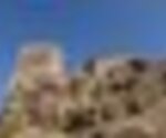 tiny_thumb_RTFT_4_OUT_1_Matela_093__Medium_