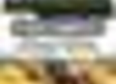 tiny_thumb_11863291_829066803855505_1286134384230130261_n