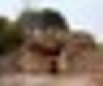 tiny_thumb_T10_03___2___Medium_