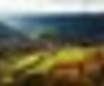 tiny_thumb_T08_04___26___Medium_