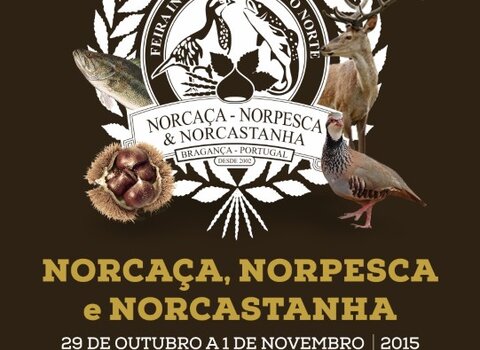 Flyer_A5_Norca_a__Medium_