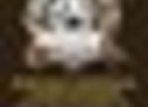 tiny_thumb_Flyer_A5_Norca_a__Medium_
