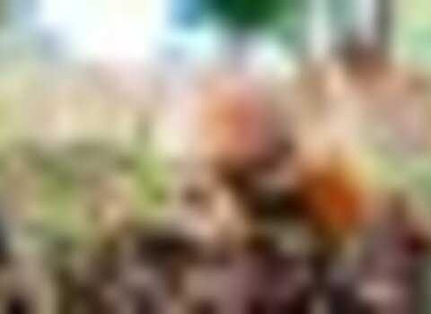 tiny_thumb_COGUMELOS_CASTANHAS-14__Medium_