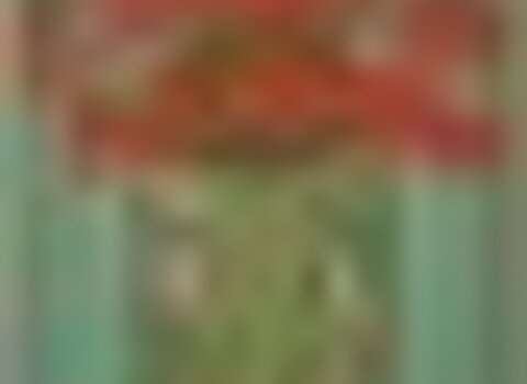 tiny_thumb_galeria_413_1