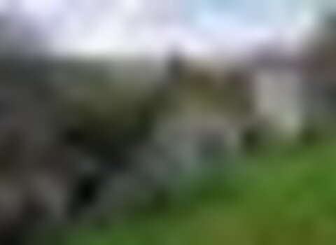tiny_thumb_TerraFriaOutono2019_LR-169__Medium_1