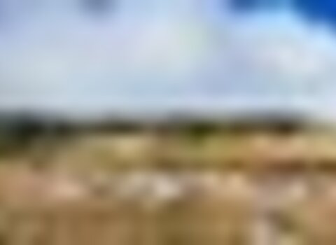tiny_thumb_GEADAS_NEVE_MANHA-26__Medium_