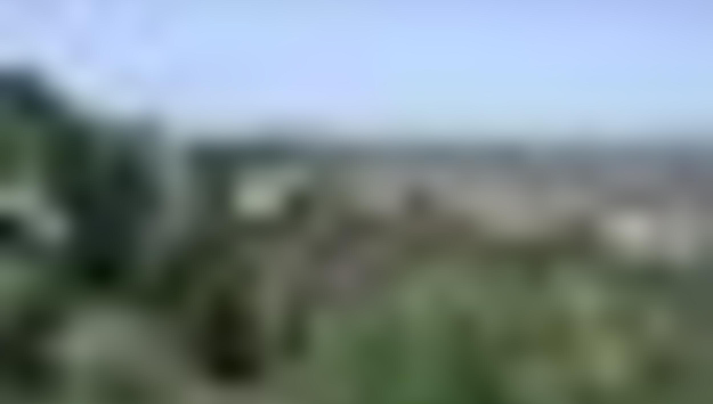 tiny_thumb_vista_quintanilha__Medium_