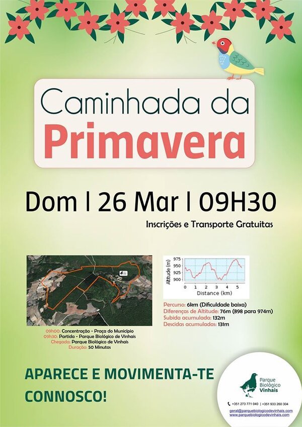 primavera_caminhada