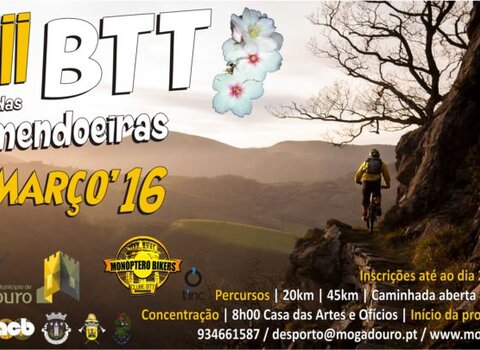 cartaz_8btt_am_flor_16_1_1280_720