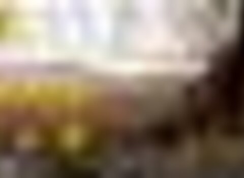 tiny_thumb_cartaz_8btt_am_flor_16_1_1280_720