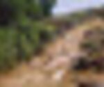 tiny_thumb_Caminho_medieval_moimenta