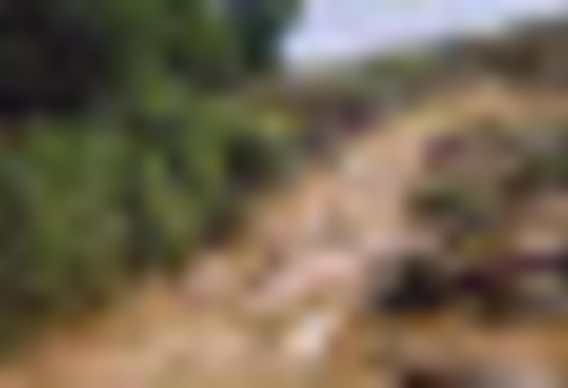tiny_thumb_Caminho_medieval_moimenta