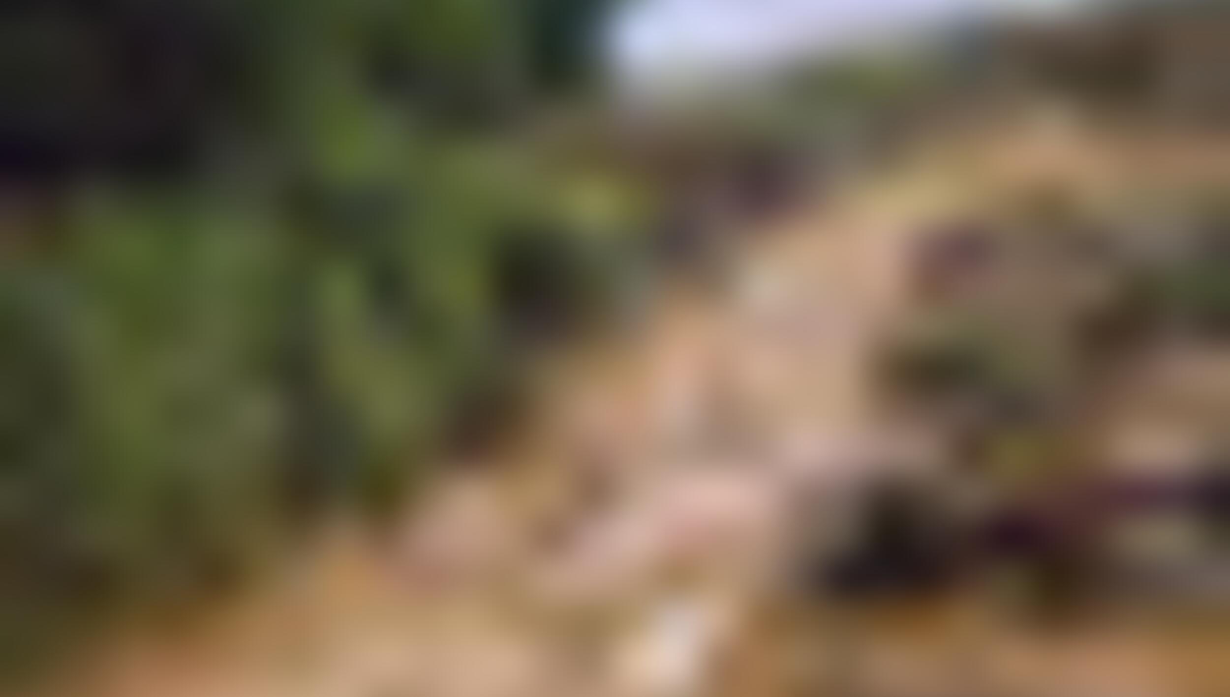 tiny_thumb_Caminho_medieval_moimenta