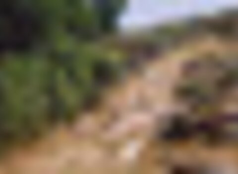 tiny_thumb_Caminho_medieval_moimenta