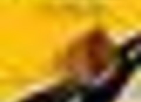 tiny_thumb_corrida_cantarinhas