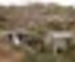 tiny_thumb_T09_10___25___Medium_