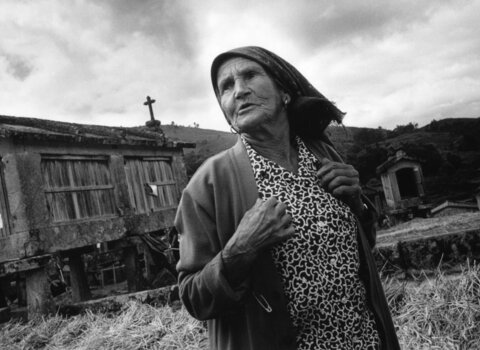 Georges_Dussaud_Lindoso__2008__Medium_