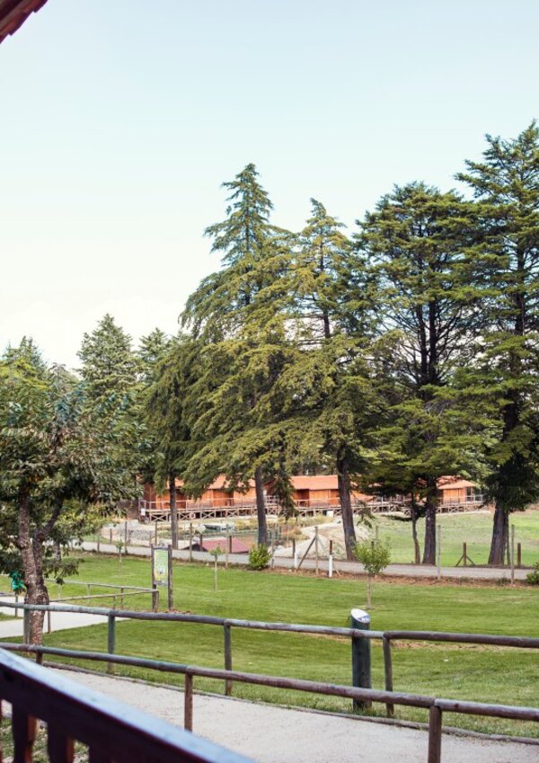 PARQUE_BIOLOGICO-3__Medium_