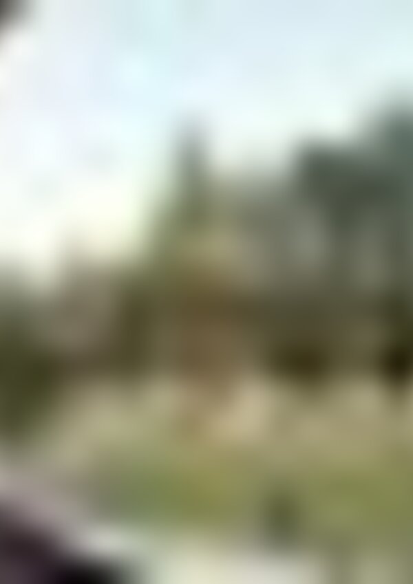 tiny_thumb_PARQUE_BIOLOGICO-3__Medium_
