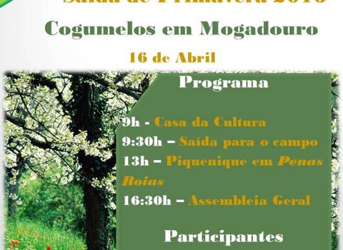 saida_de_primavera_16_DE_ABRIL