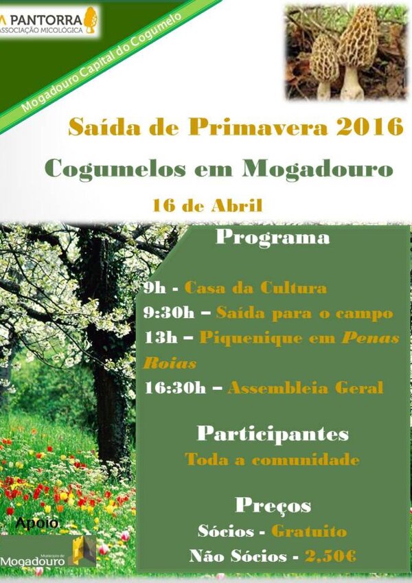 saida_de_primavera_16_DE_ABRIL