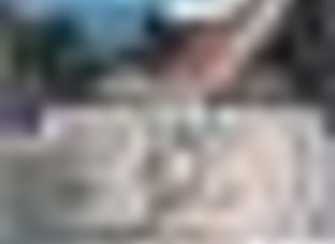 tiny_thumb_dia_dos_monumentos2