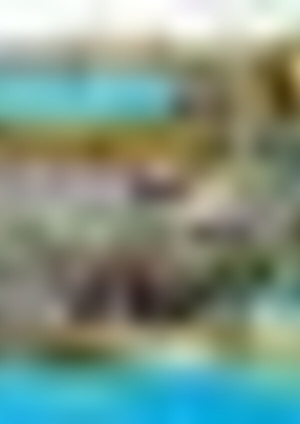 tiny_thumb_10422283_565239043652321_6277169675729537879_n