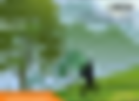 tiny_thumb_caminhando_na_floresta_varge