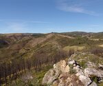 RTFT_17_SETMBR_04_010__Medium_
