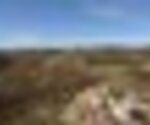 tiny_thumb_RTFT_17_SETMBR_04_010__Medium_