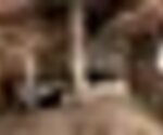tiny_thumb_T01_10___3___Medium_