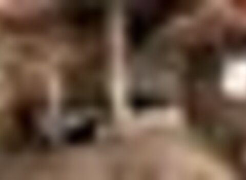 tiny_thumb_T01_10___3___Medium_