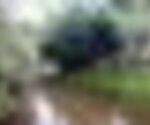 tiny_thumb_praia_car_ao