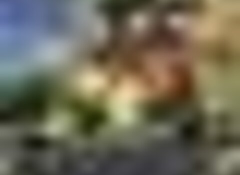 tiny_thumb_13641109_323963601268547_3625862673132976024_o