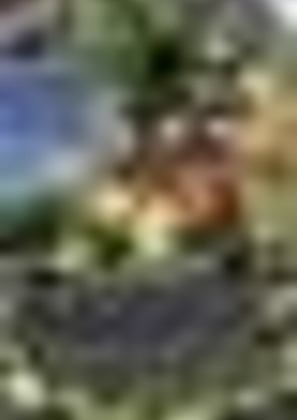 tiny_thumb_13641109_323963601268547_3625862673132976024_o