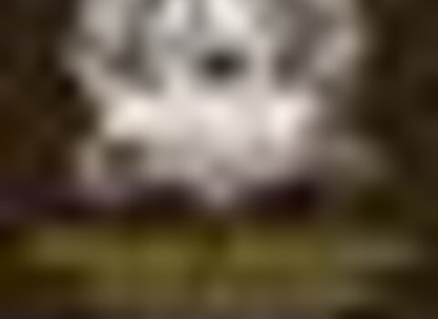 tiny_thumb_Norcaca_norpesca