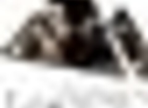 tiny_thumb_bragan_a_jazz
