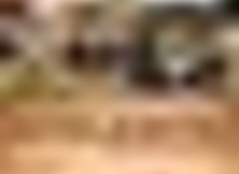tiny_thumb_Castanha1_1_720_2500