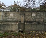 IMG_2463__Medium_